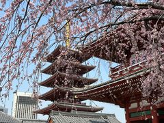 -浅草寺