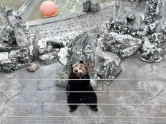 -成都动物园