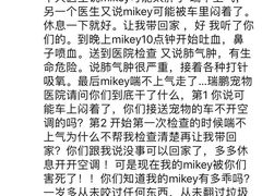 -瑞鹏宠物医院·微创内窥镜·骨外科·牙科(翠竹分院)