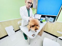 -瑞鹏宠物医院犬猫全科(真大分院)