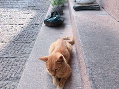 -曾福兴
