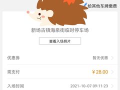 账单-新场古镇-停车场