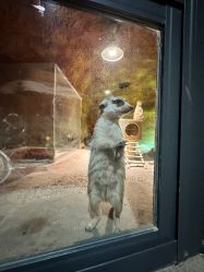 -酷嗒动物文化乐园(cutezoo西溪乐天城店)