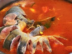-芦苇荡·酸汤鱼(回龙观店)