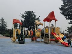 -铁山坪森林公园