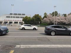 -华中科技大学光谷体育馆