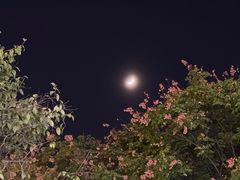 -肆季荟·SEASONS(江苏电视塔店)