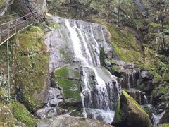 -藏龙百瀑风景区