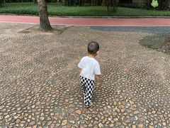 -晓港公园
