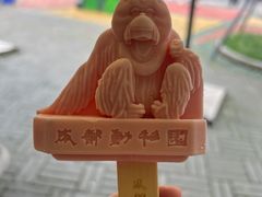-成都动物园