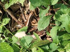 -宁波五龙潭景区