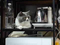 -不作·手工银饰DIY(西红门店)