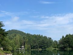 -四明山国家森林公园
