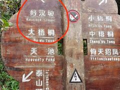 -梧桐山风景名胜区