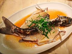 -陶陶居酒家(环市东店)