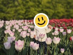 -北京国际鲜花港