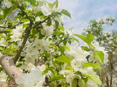 -元大都城垣遗址公园