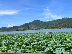 -东钱湖旅游度假区