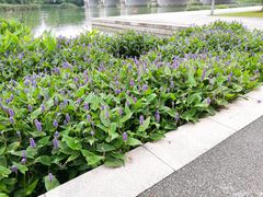 -尚贤河湿地
