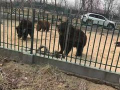 -秦皇岛野生动物园