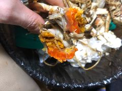 -黄记大闸蟹专卖店·活蟹·醉蟹