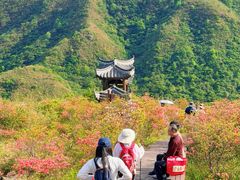 -大围山国家森林公园