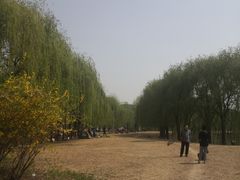 -东坝千亩湖公园