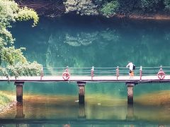 -鼎湖山风景区