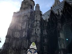 -斯蒂芬主教座堂(Stephansdom)