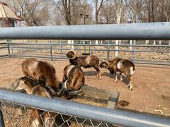 -长白岛森林公园