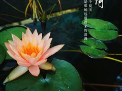 -西安市广仁寺