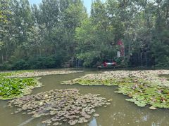 -竹泉村旅游度假区