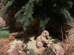 -深圳博物馆