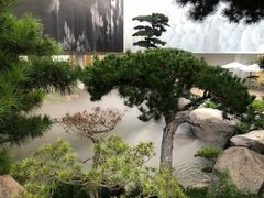 -罗红摄影艺术馆