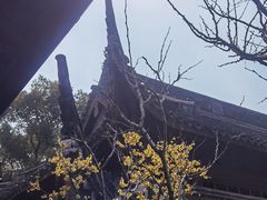 -宁波市保国寺古建筑博物馆