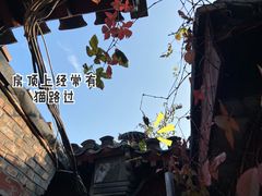 -METAL HANDS(五道营店)