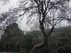 -白沙古井