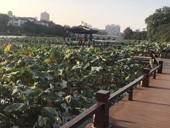 -南通濠河风景名胜区