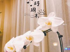 -子霖南山鲜虾面(南山总店)