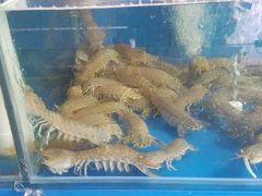 -顶之鲜海鲜餐厅