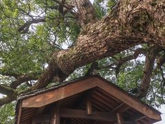 -东梓关景区村庄