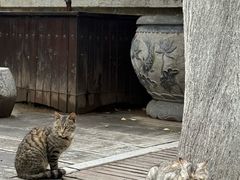 -香积寺