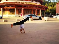 -禅武少林功夫馆(上海武馆)