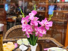 -荷花泰菜(东方新天地店)