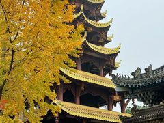 -磁器口古镇