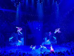 -珠海横琴长隆《卡卡虎奇遇记》