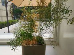 -花沐 FLOWER BATH(凤凰城店)