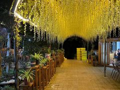 -张鸟园农家乐(张鸟园店)