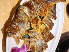 -龙泉人椰子鸡.糟粕醋.海南菜(三亚旗舰店)