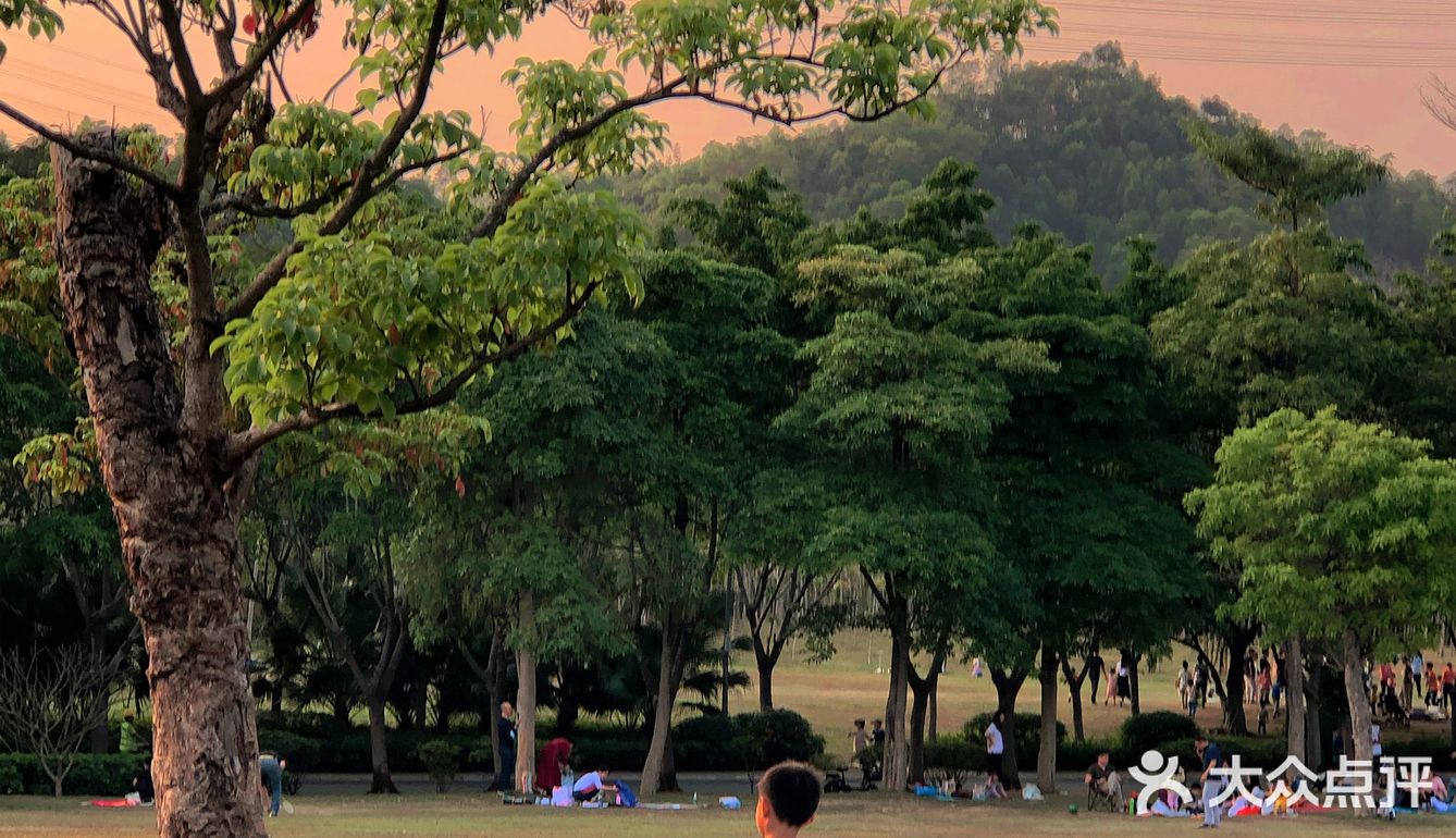 ☀️与我的辣妹小姐妹一起捕捉日落啦～[加油]
